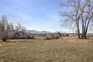  Photo 49