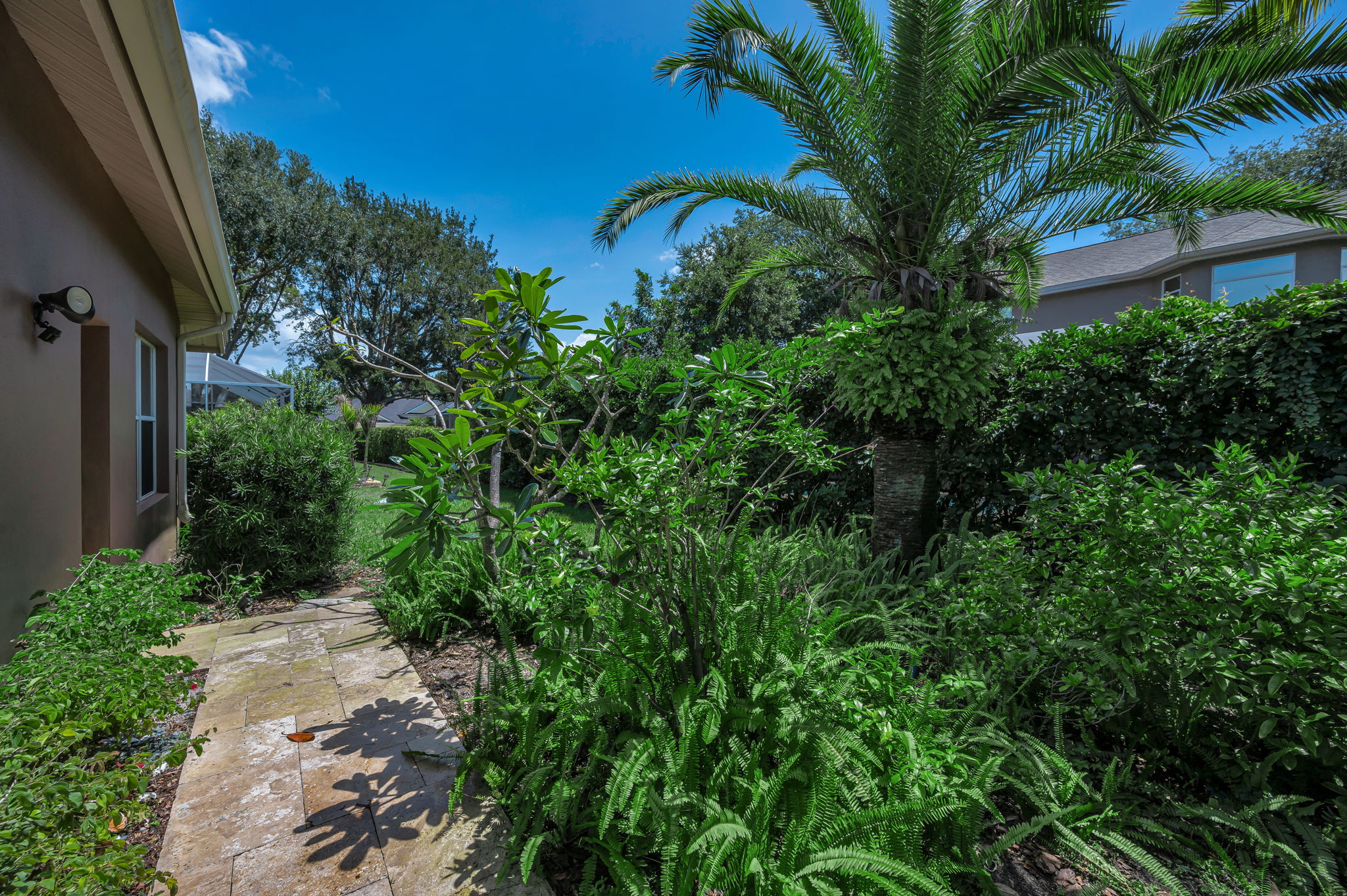 Backyard1