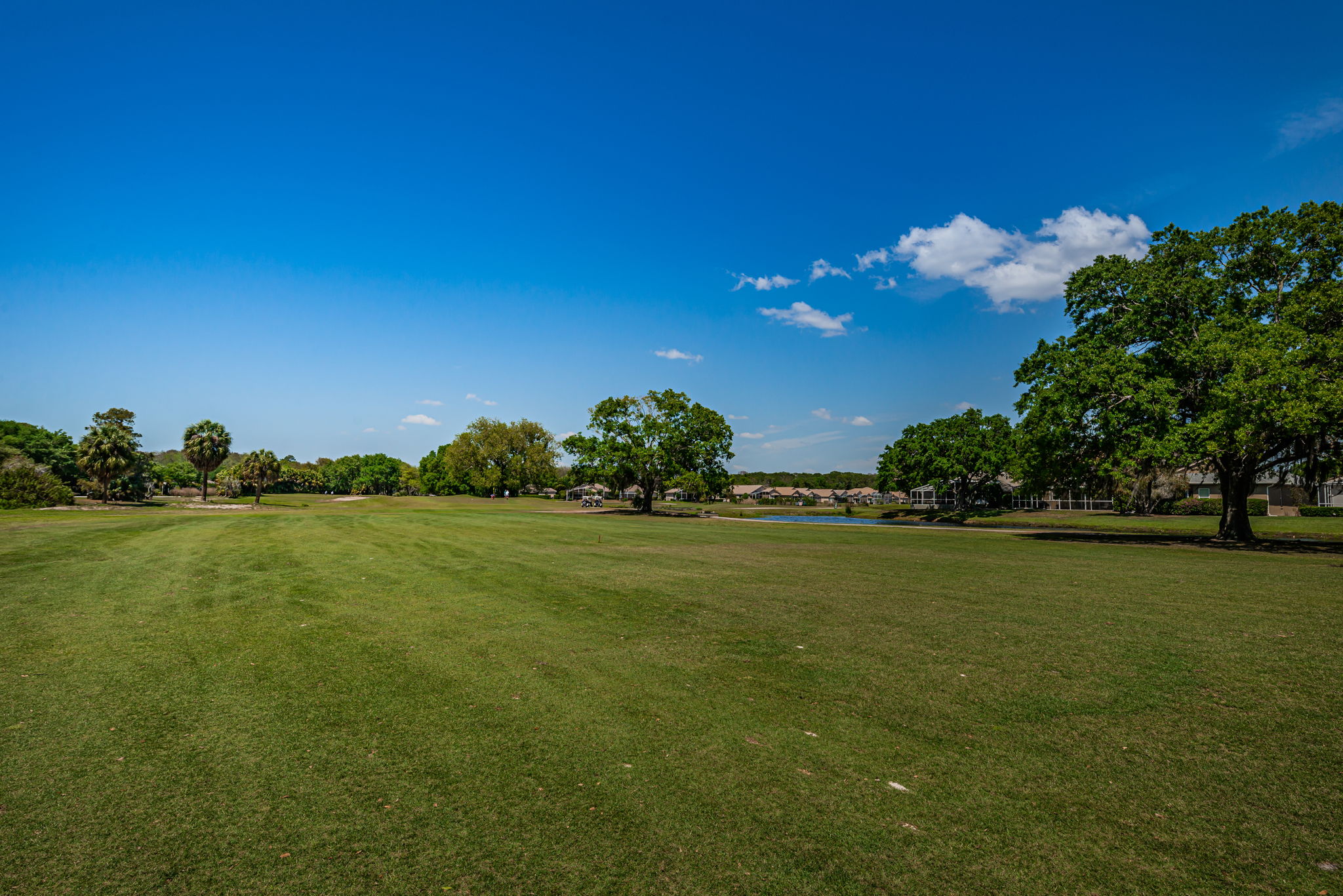 13-Lansbrook Golf Club