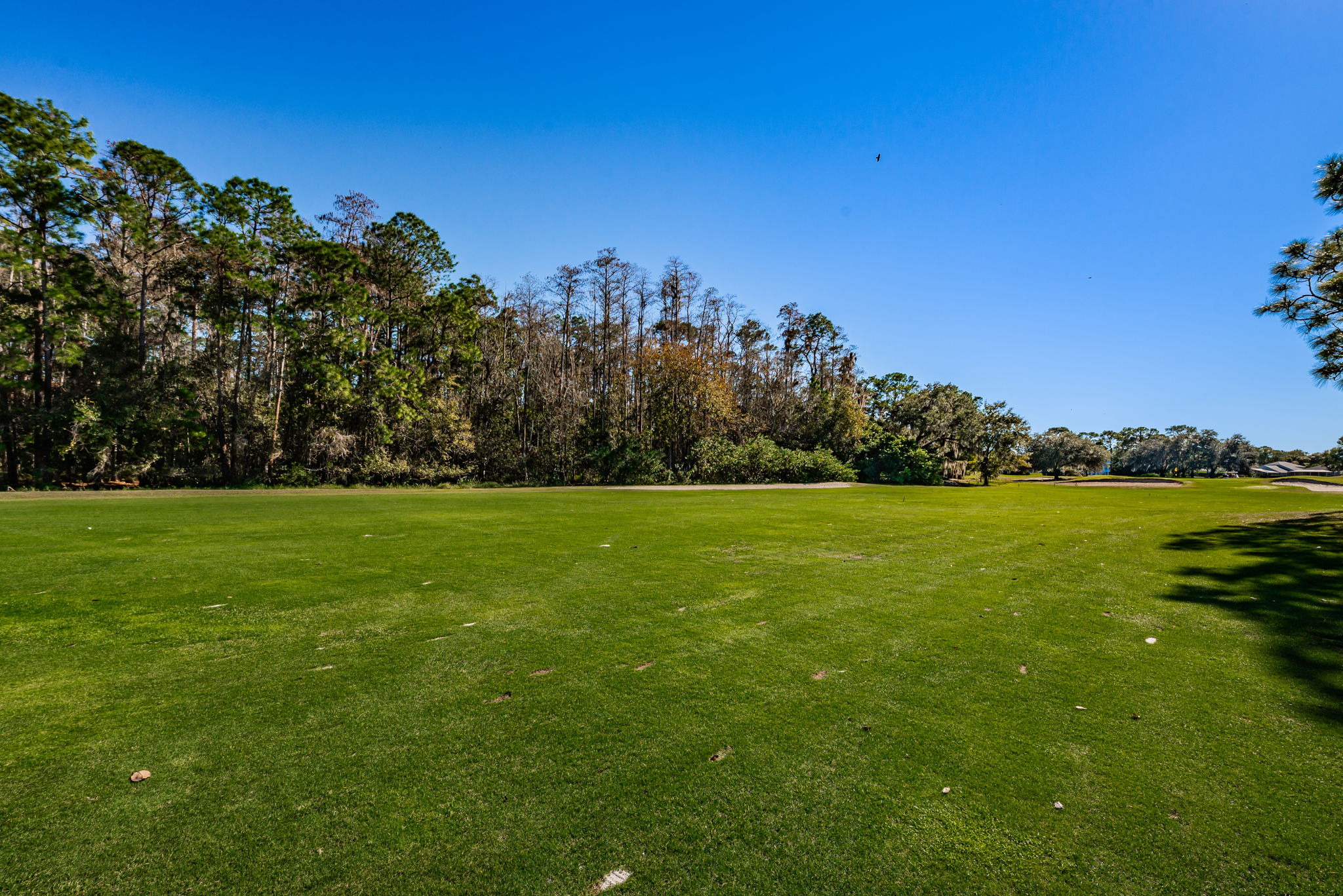 14-Lansbrook Golf Club