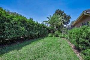 Backyard3