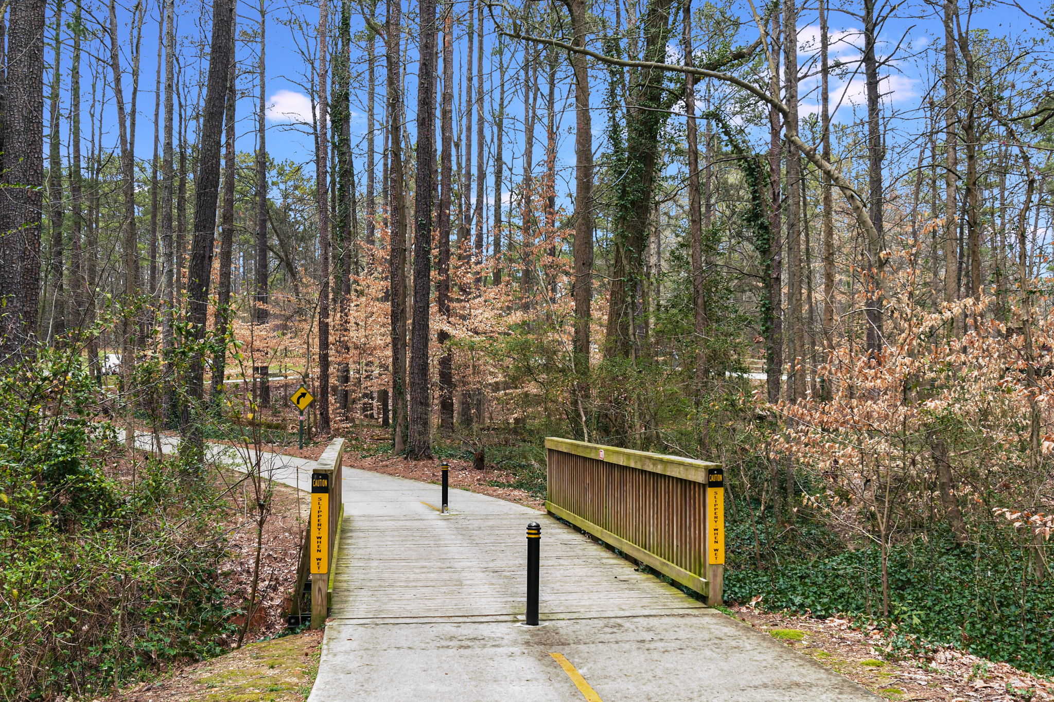  Photo 63