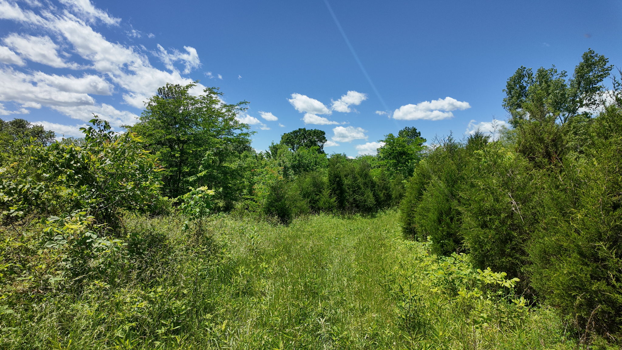  Photo 25