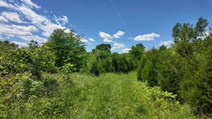  Photo 24