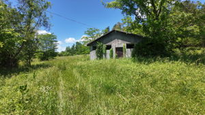  Photo 28