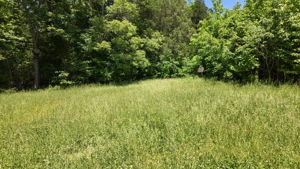  Photo 34
