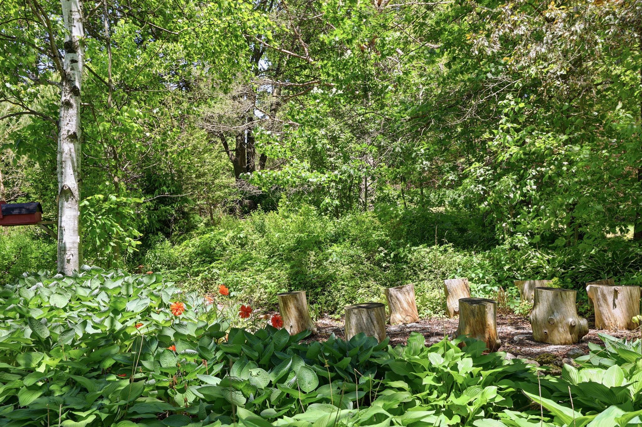  Photo 20