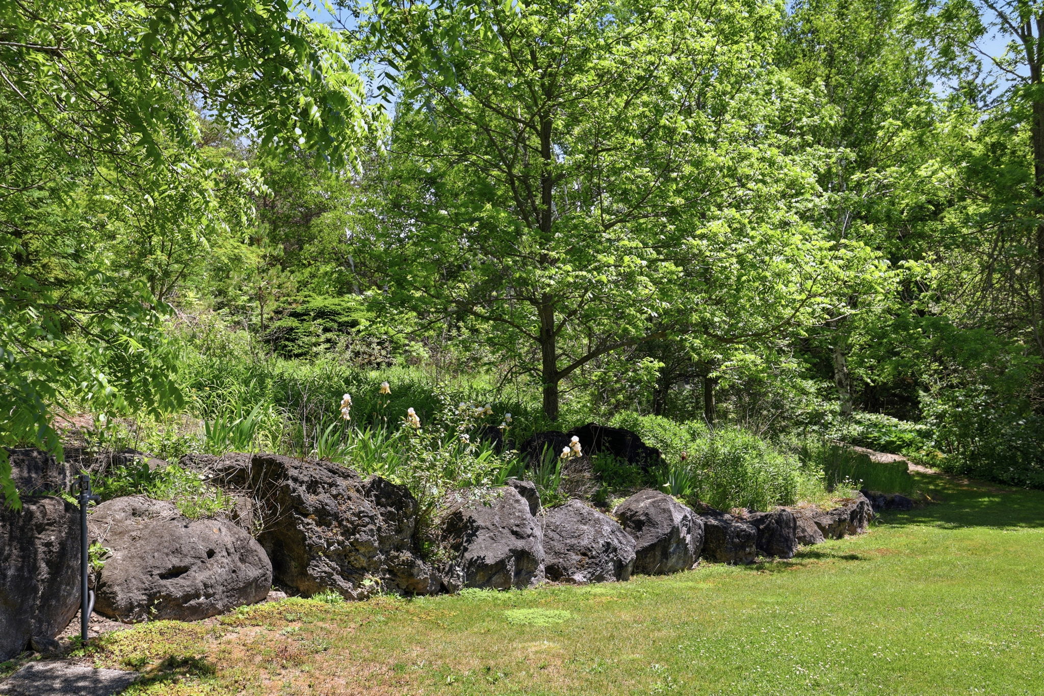  Photo 22