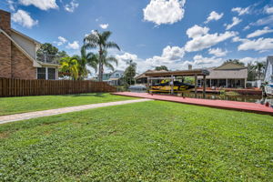Backyard3