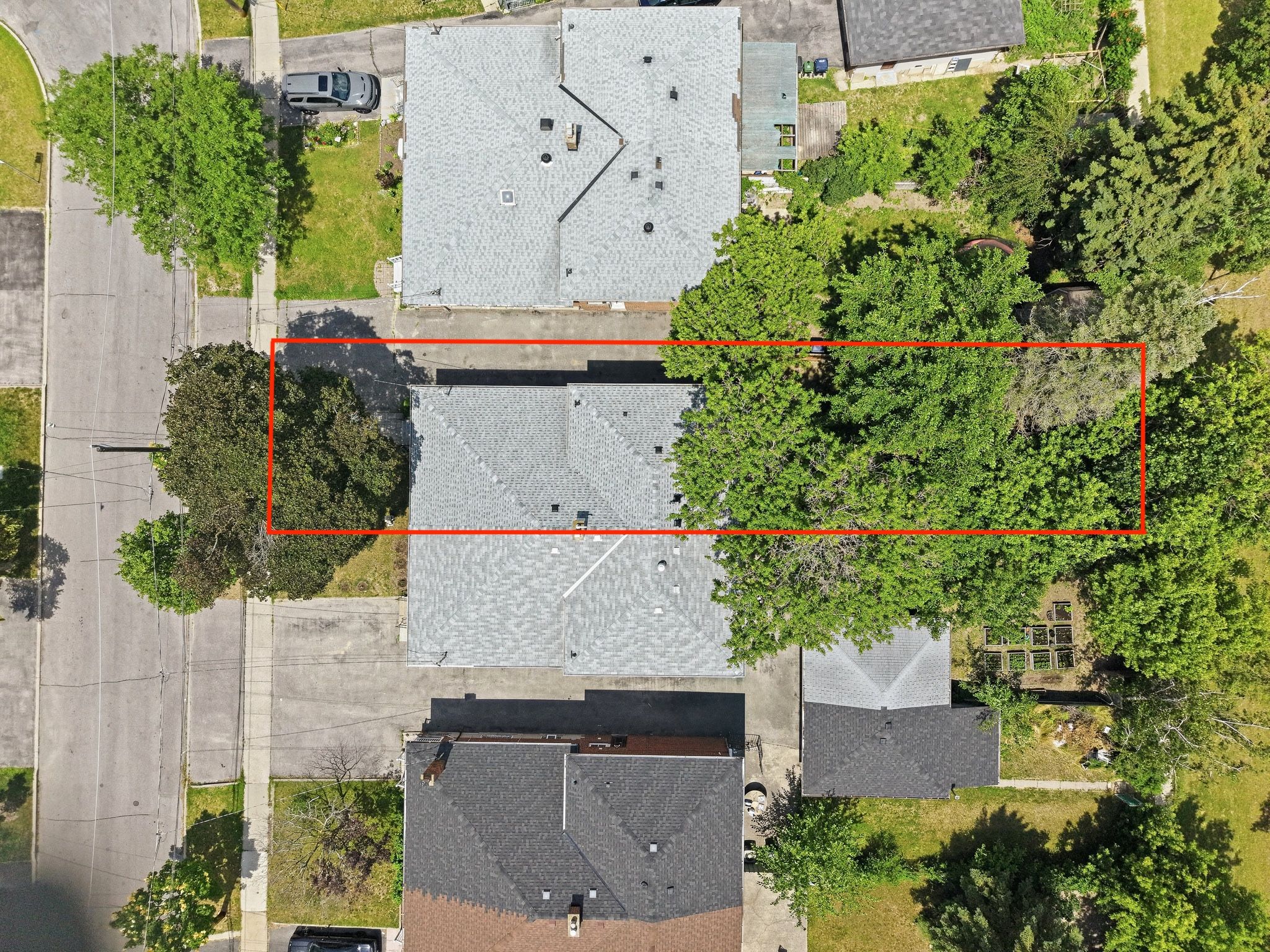  Photo 61