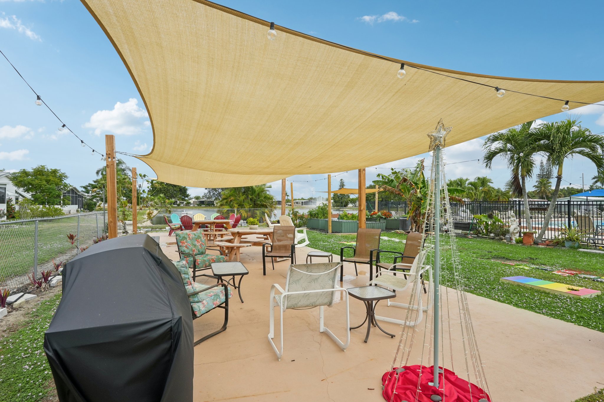 Grosbeak Ln-0312-913.jpg