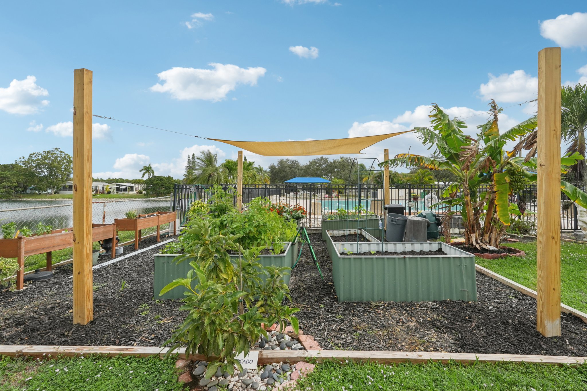 Grosbeak Ln-0312-915.jpg