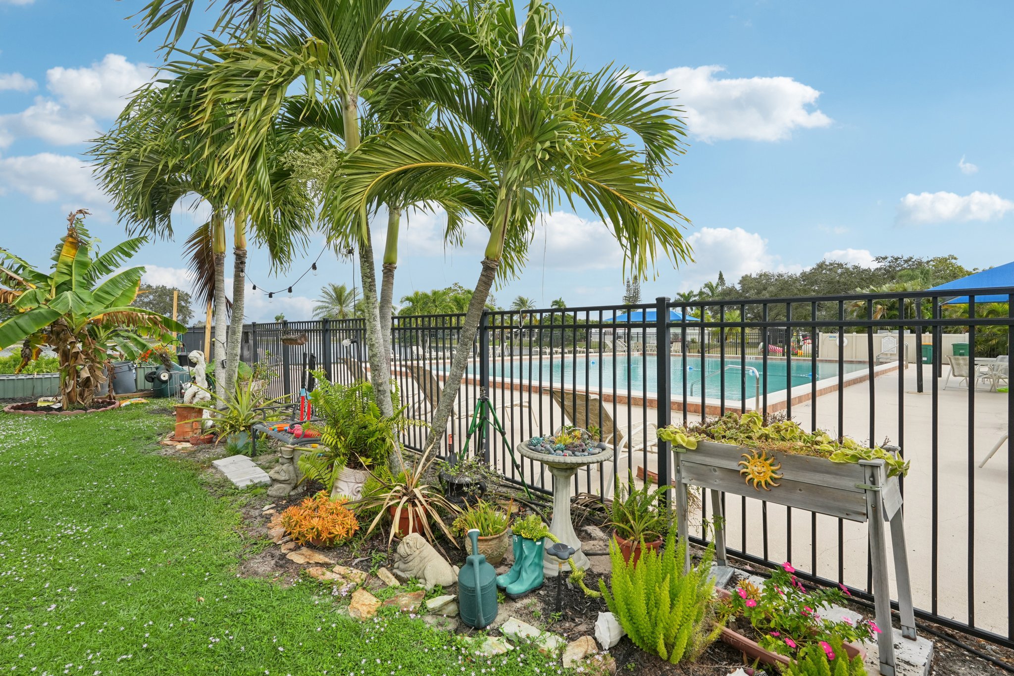 Grosbeak Ln-0312-916.jpg