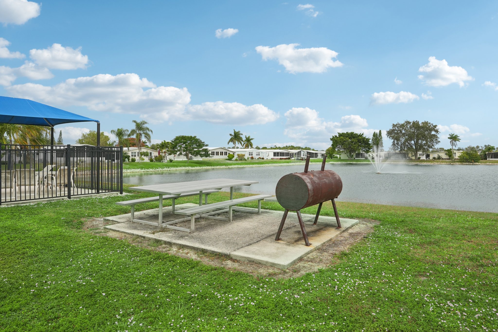 Grosbeak Ln-0312-917.jpg