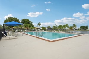 Grosbeak Ln-0312-911.jpg