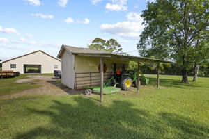  Photo 43
