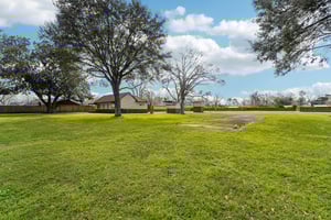 Pine Ave-036.jpg