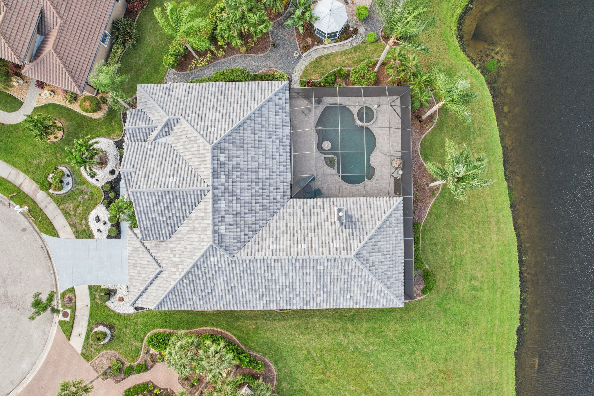 White Ibis Ct-S1110-055.jpg