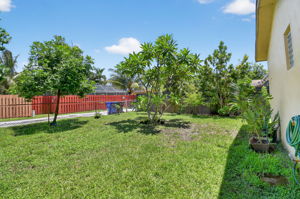  Photo 49