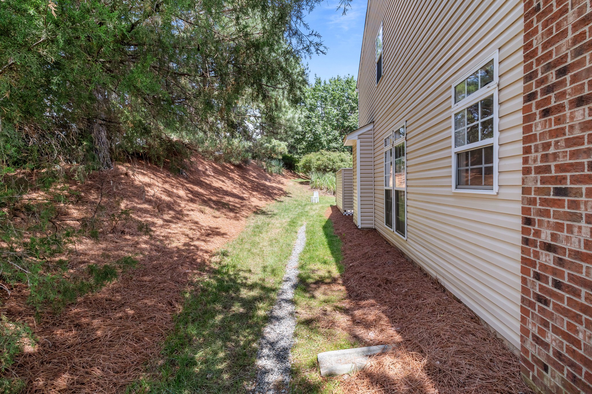 Sideyard privacy and window views.