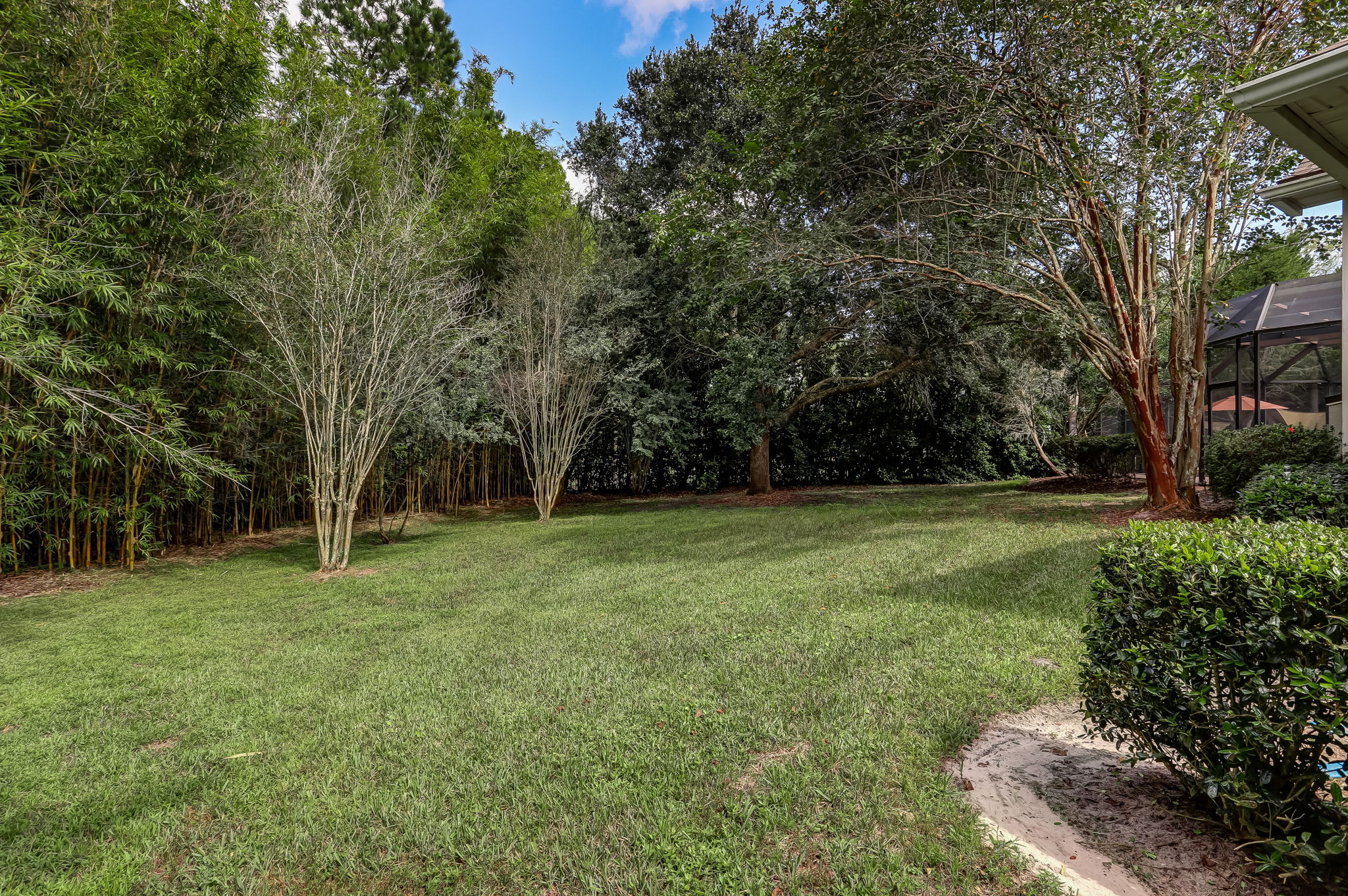 Backyard