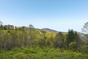 Pioneer Ridge Rd-0105-033.jpg