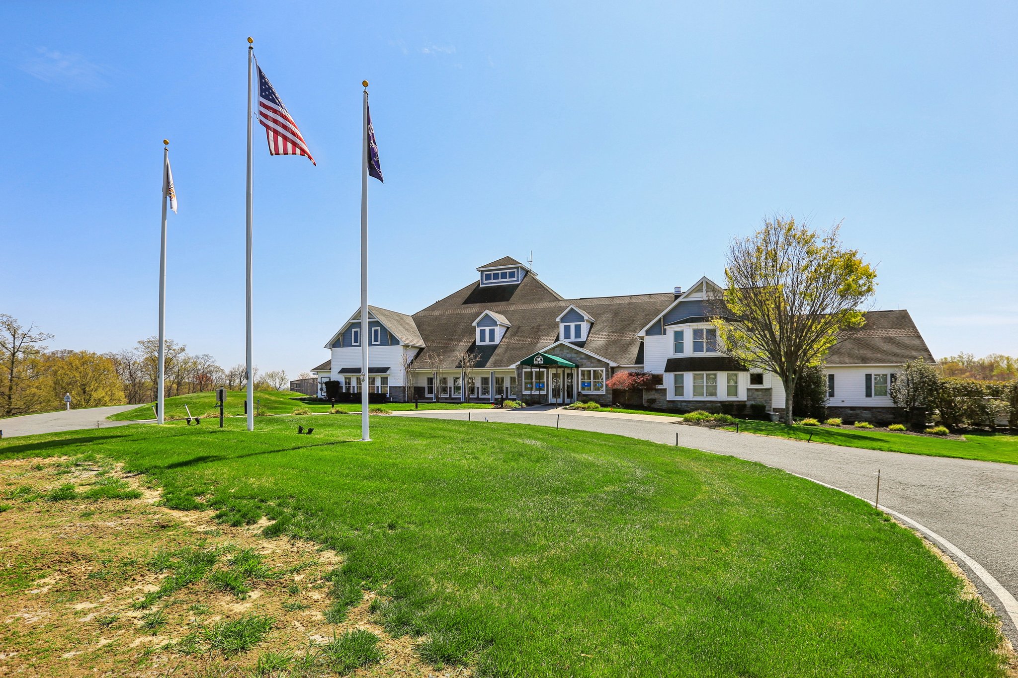 Risen Star Ct-1304-901.jpg