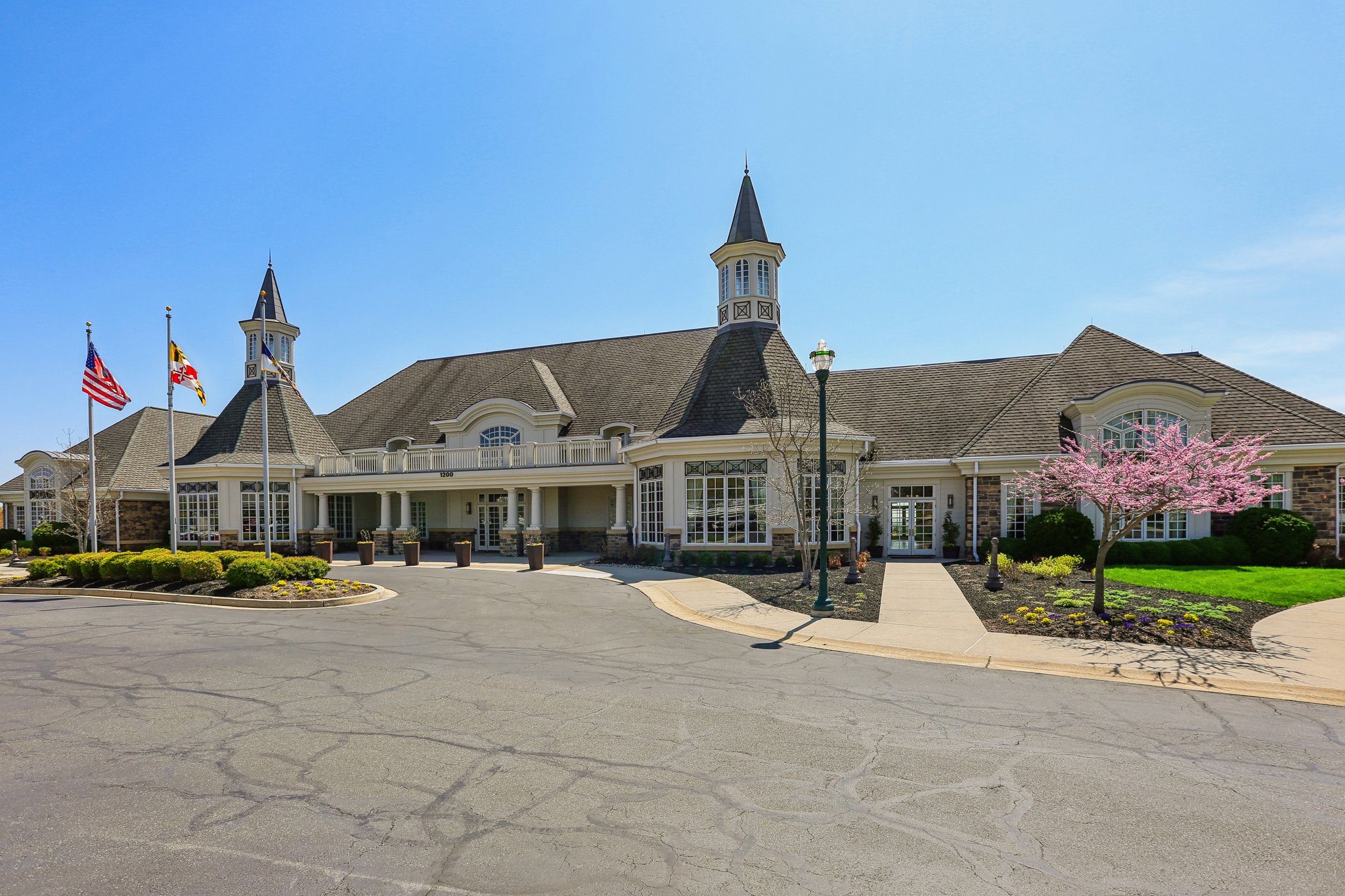 Risen Star Ct-1304-902.jpg