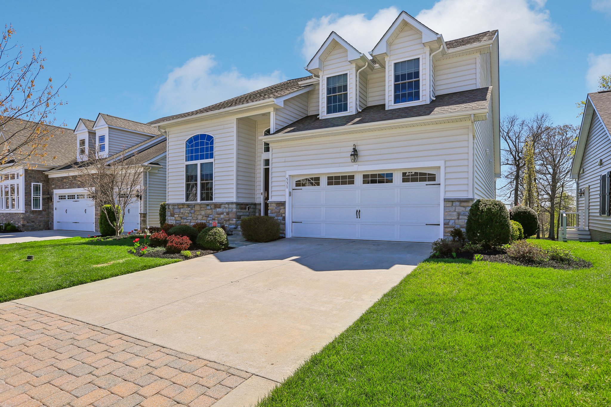 Risen Star Ct-S1304-002.jpg