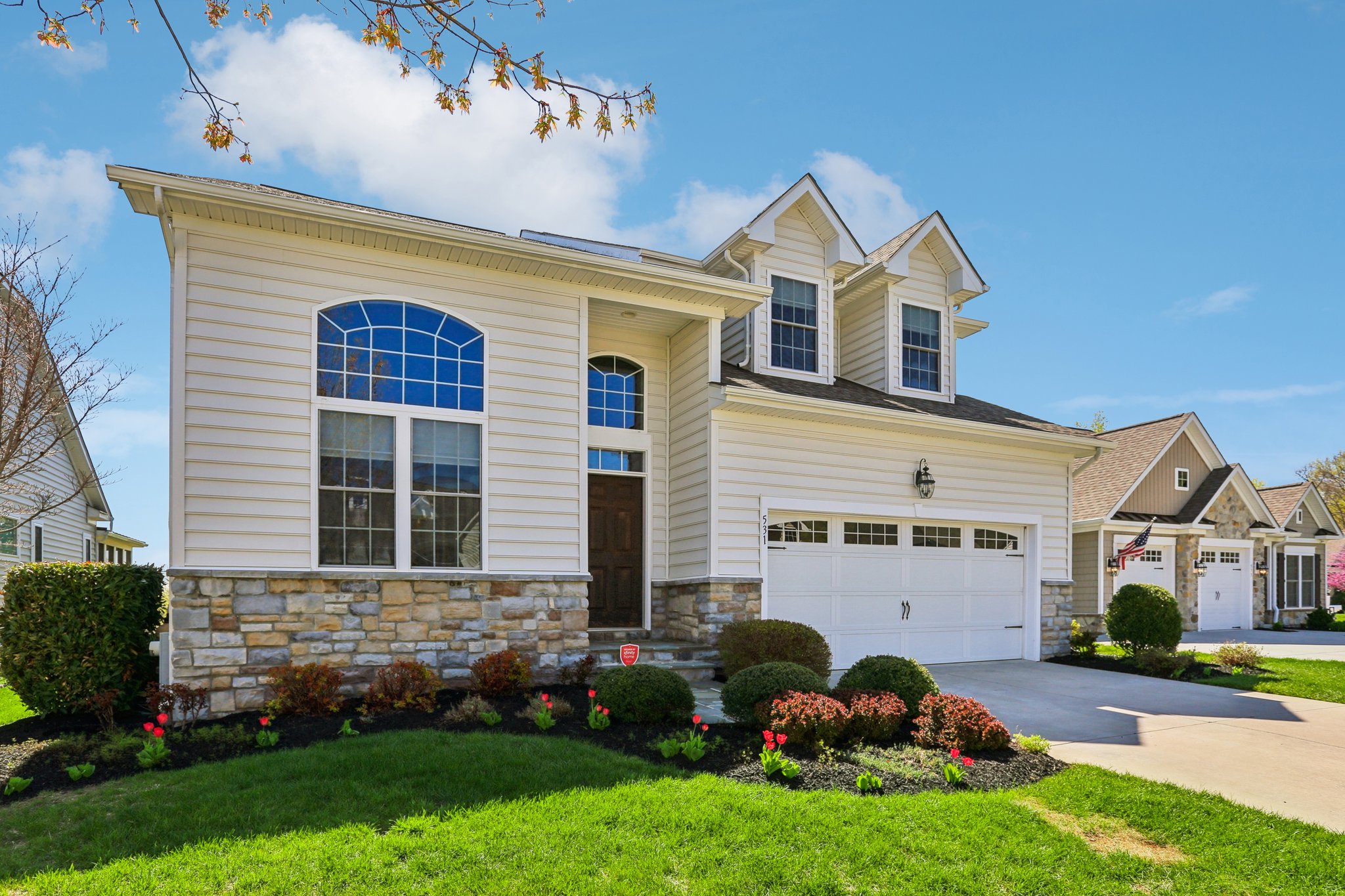 Risen Star Ct-S1304-003.jpg