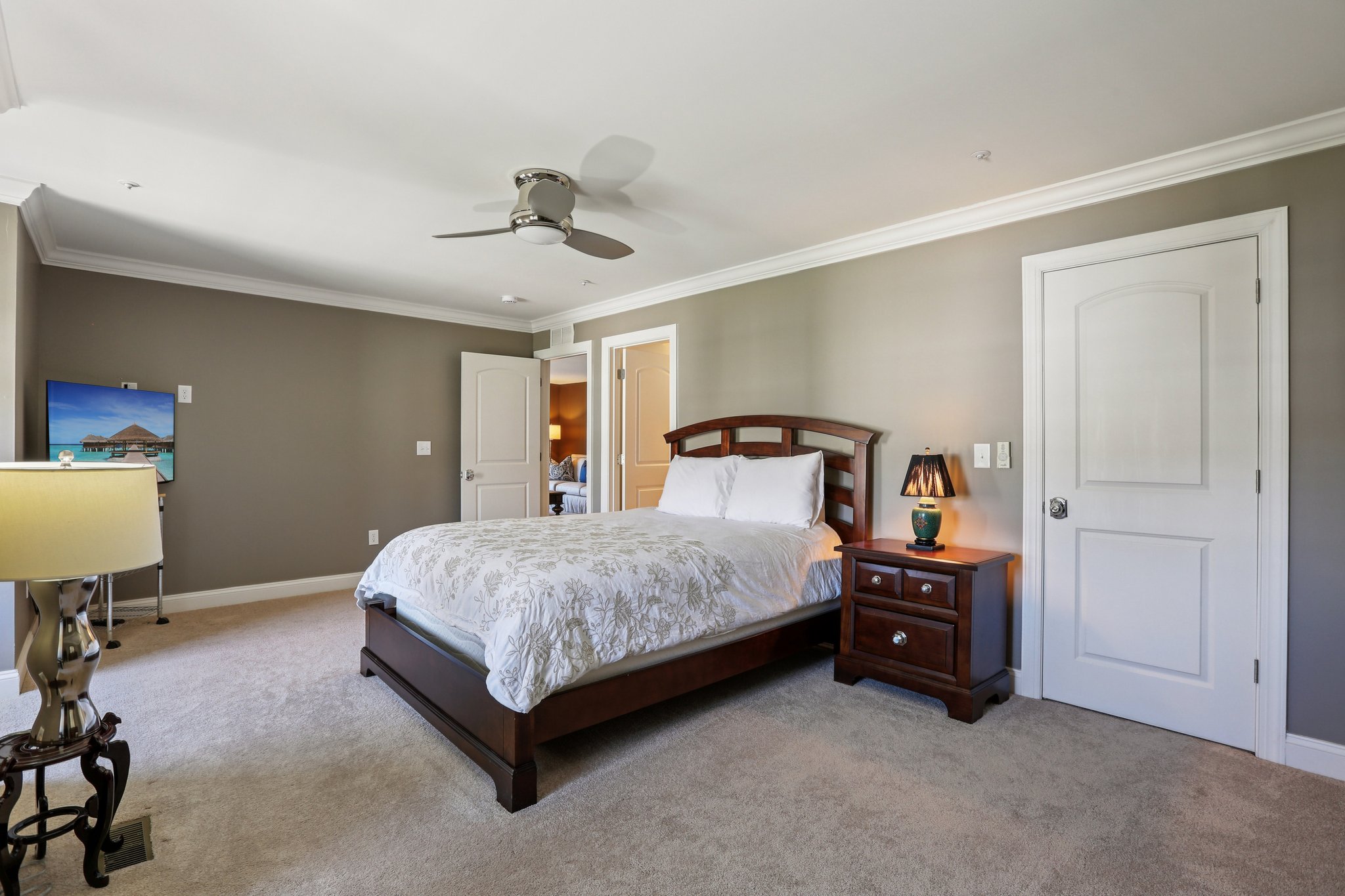 Risen Star Ct-S1304-042.jpg