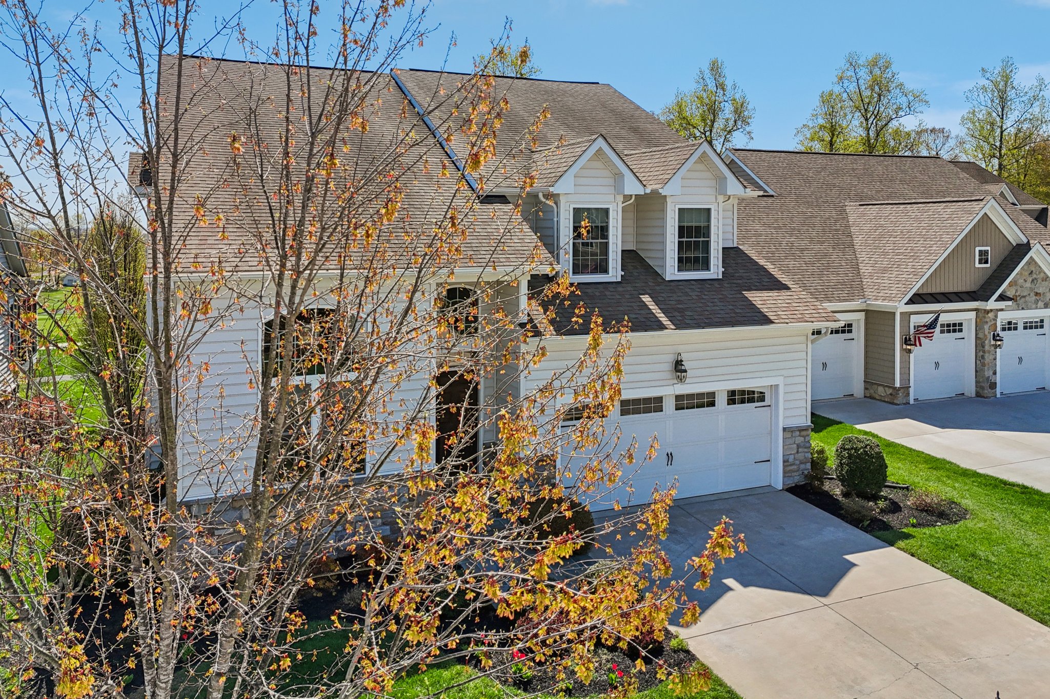 Risen Star Ct-S1304-055.jpg