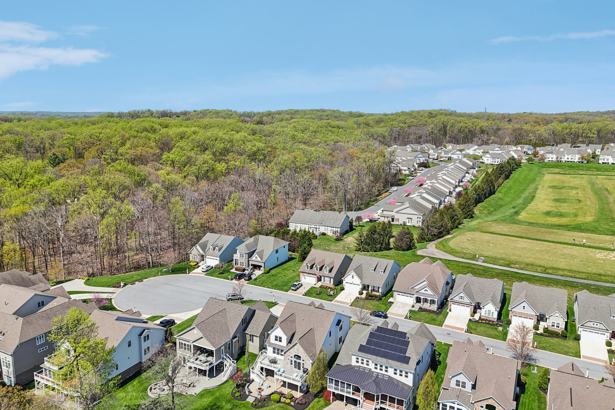 Risen Star Ct-S1304-061.jpg