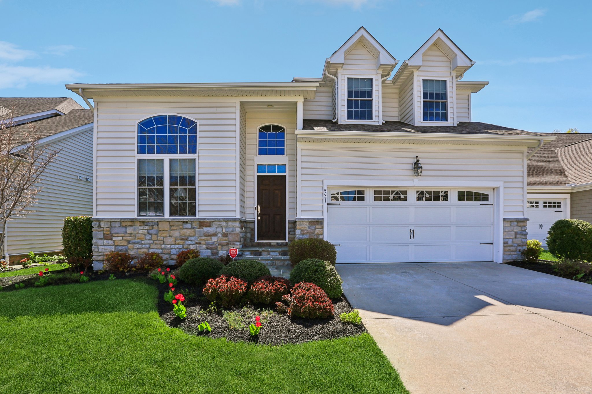 Risen Star Ct-S1304-066.jpg