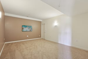 Risen Star Ct-S1304-030.jpg