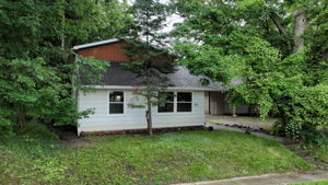  Photo 0