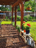  Photo 11