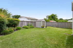 20-Backyard
