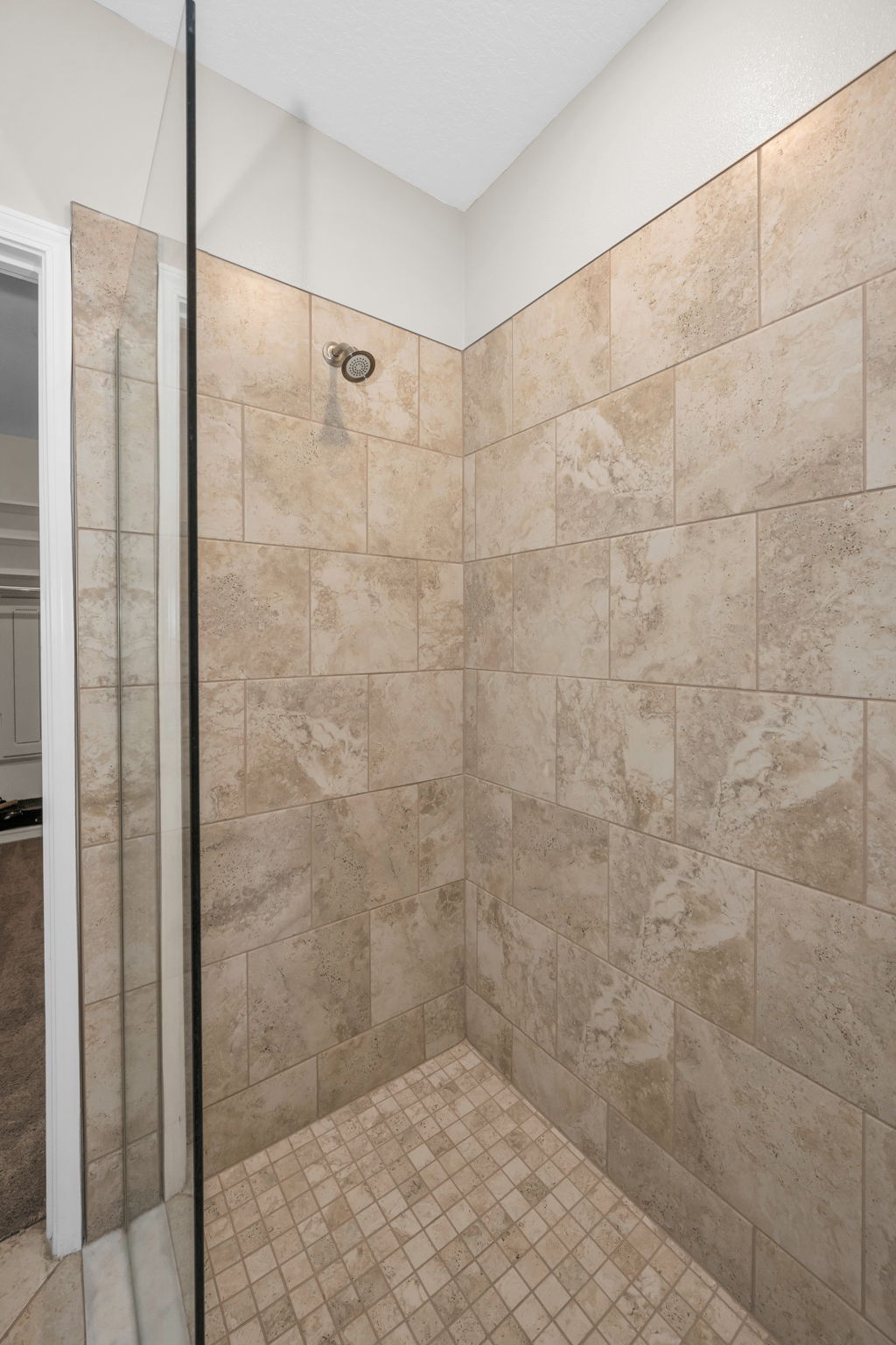 Lower Level Primary Bathroom 1b