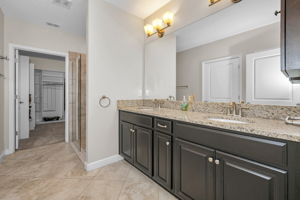 Lower Level Primary Bathroom 1a