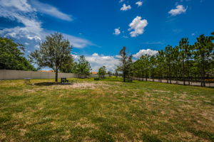 14-Dog Park - Large Dogs