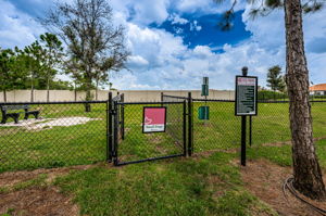 15-Dog Park - Small Dogs