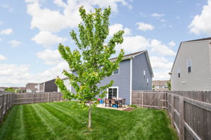  Photo 52