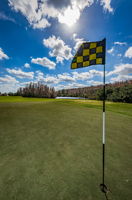 Golf Course19