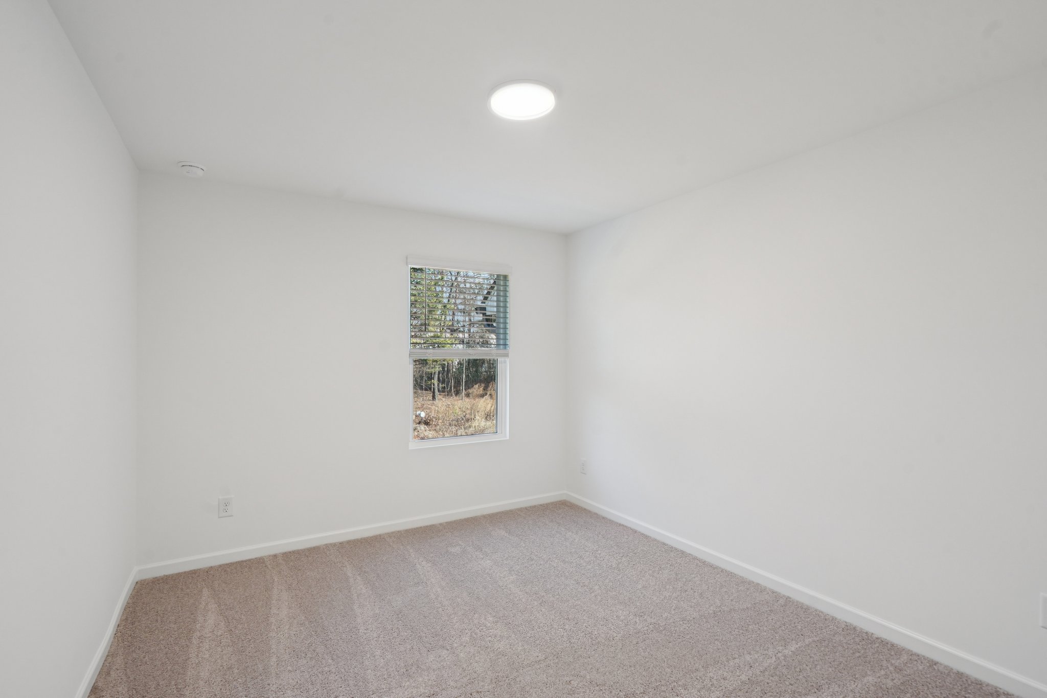 Frontier Ct-S2512-022.jpg