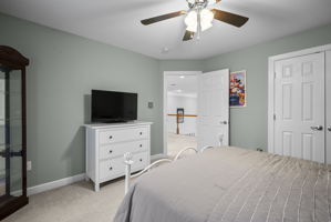  Photo 48