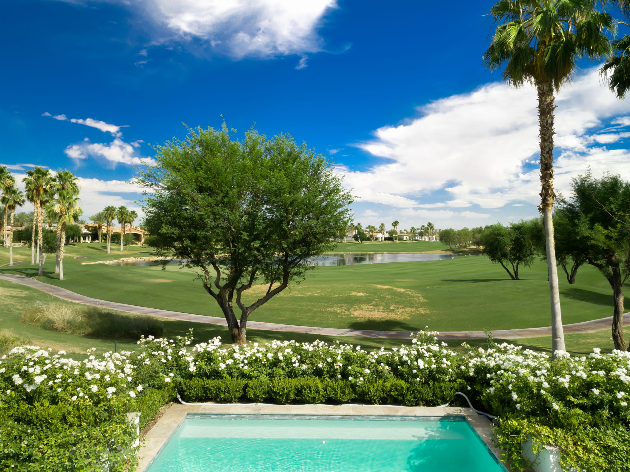  53232 Via Palacio, La Quinta, CA 92253, US Photo 19