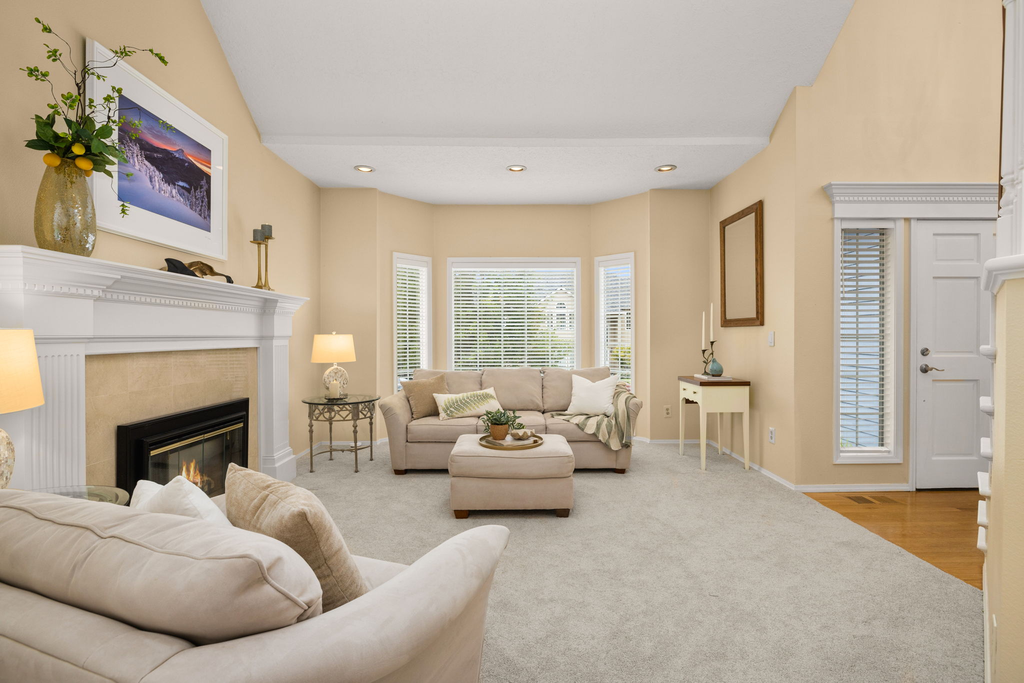 Living Room/Entrance