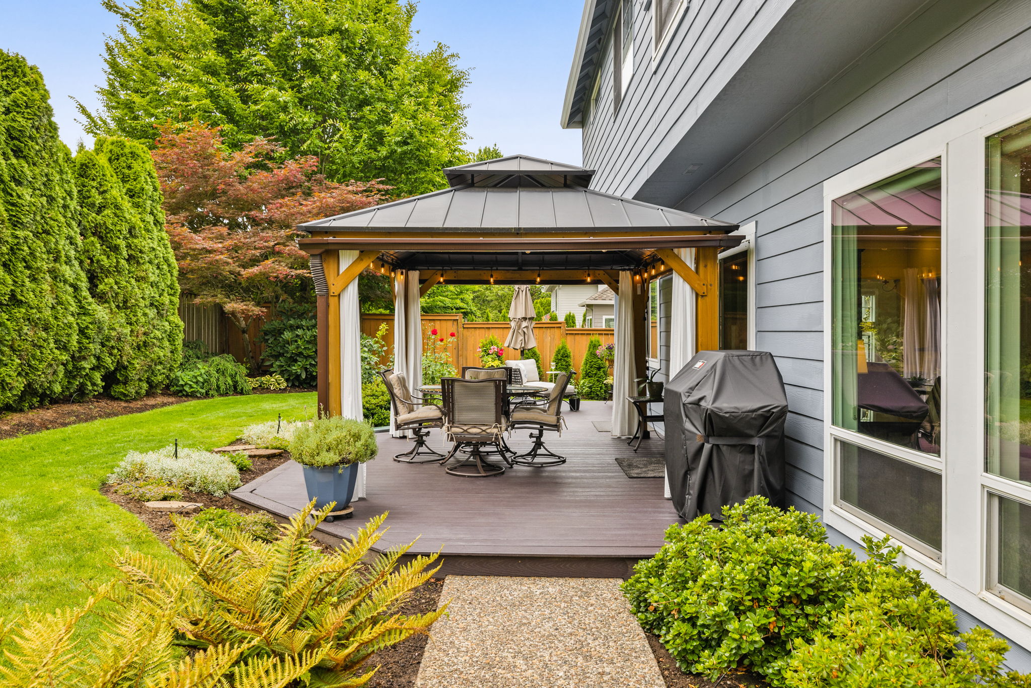 Backyard - View From