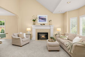 Living Room - Fireplace